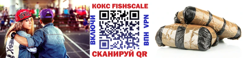 Cocaine FishScale  Купить  Ржев 