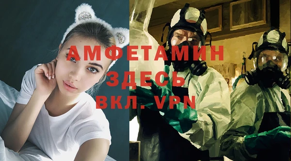 крисы Богородск