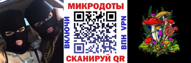 Купить где  Ржев  Псилоцибиновые грибы Cubensis 